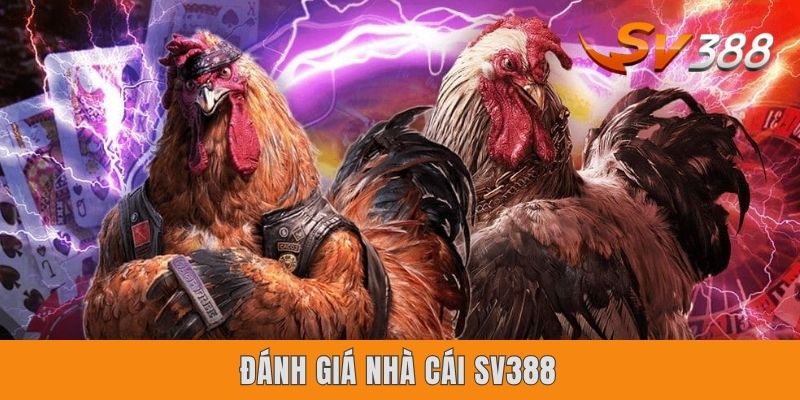 Đánh Giá Nhà Cái Sv388 Công Tâm Qua 4 Yếu Tố Trọng Yếu Nhất